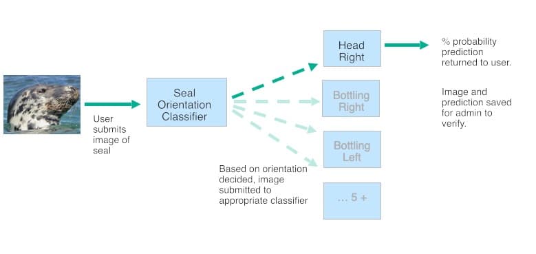 Seal identification AI model pipeline