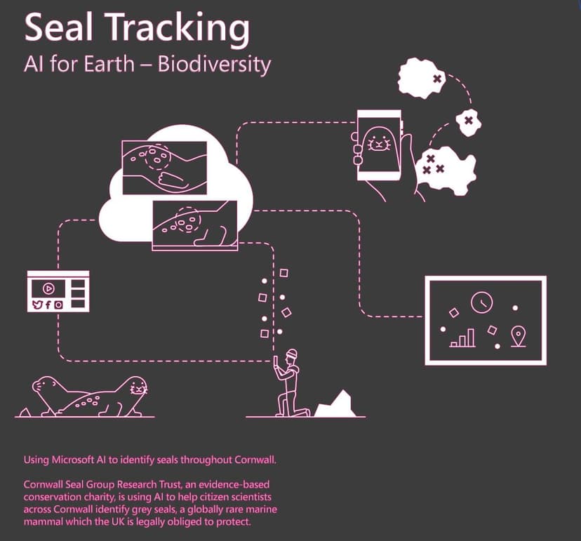 Infographic detailing the Seal Tracking project concept